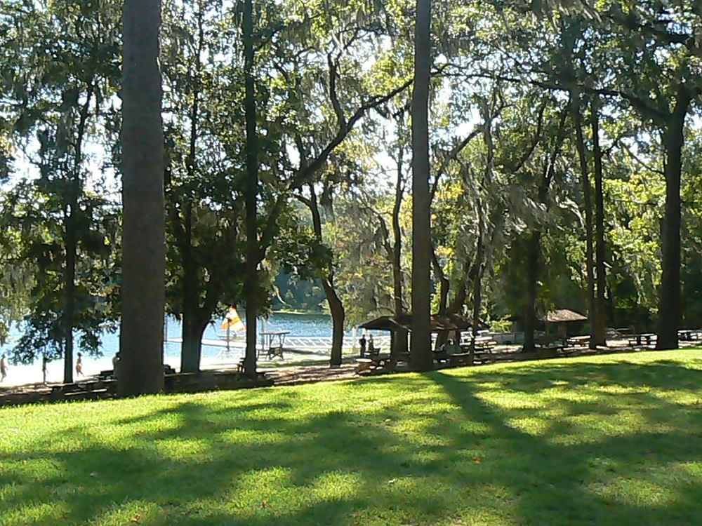 Alfred B. Maclay Gardens State Park, Tallahassee, Florida. Photograph from Wikimedia Commons.