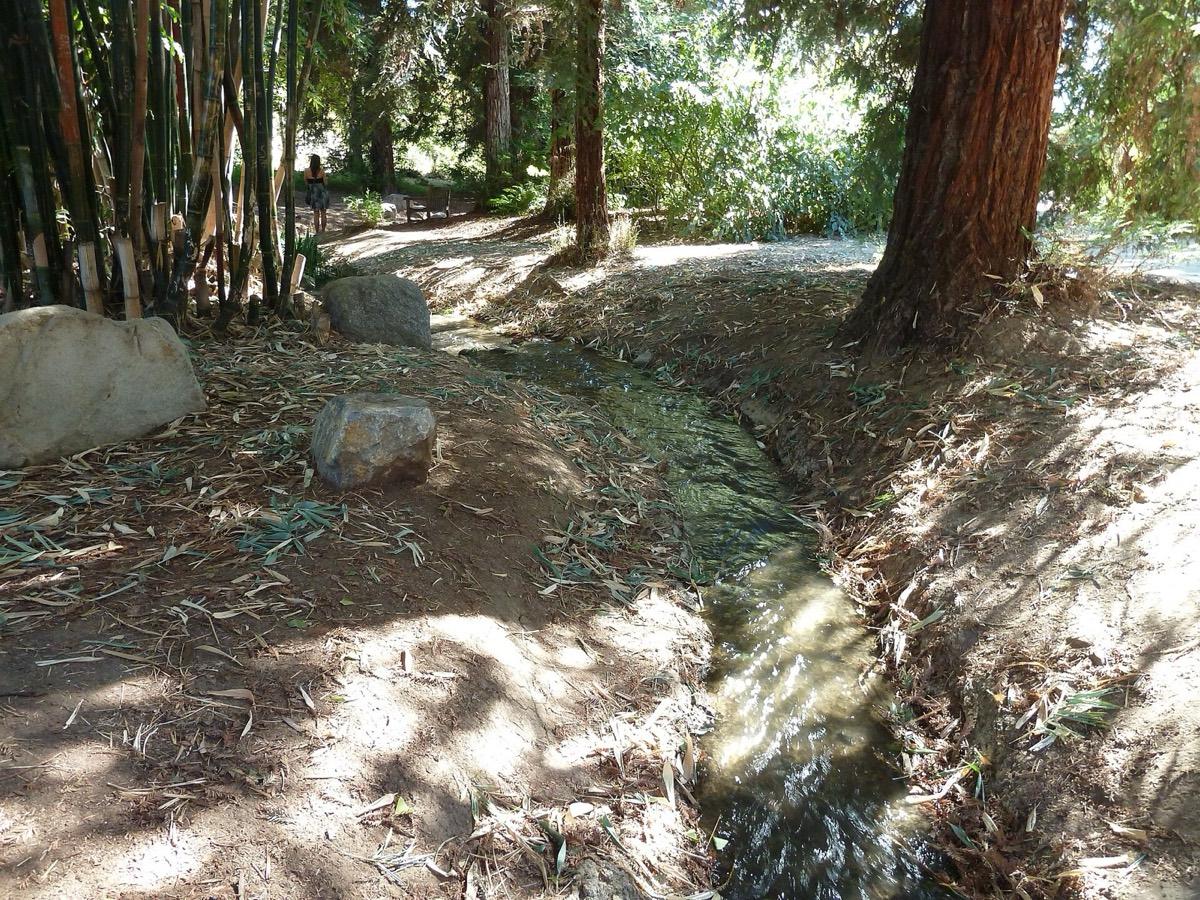 Arboretum and Botanical Garden at Cal State Fullerton, Fullerton, California. Photograph from Wikimedia Commons.