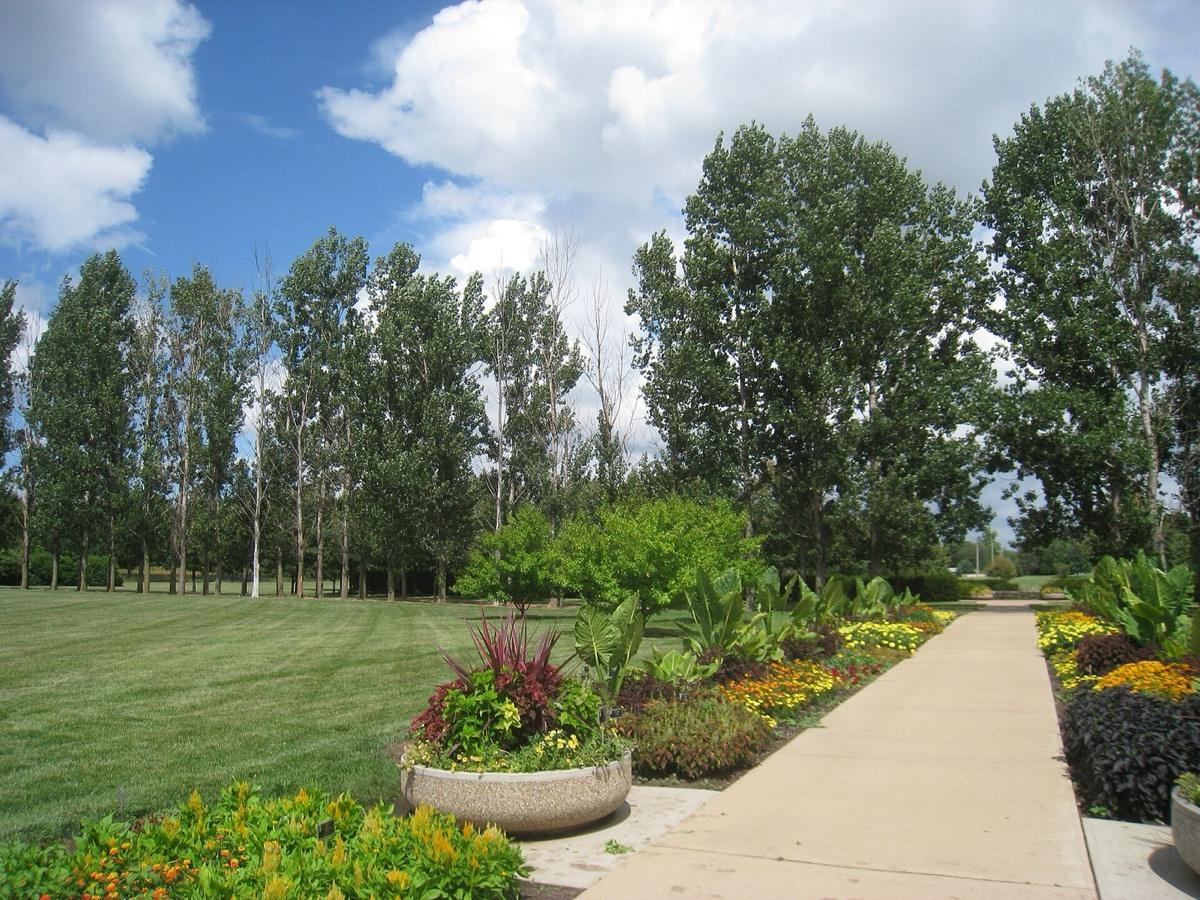 Illinois Arboretum, Urbana, Illinois. Photograph from Wikimedia Commons.