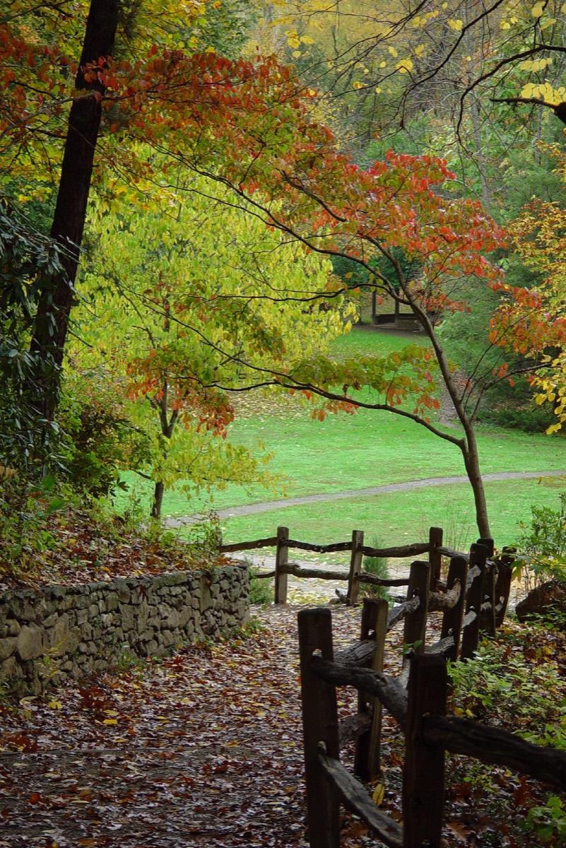 Asheville Botanical Garden, Asheville, North Carolina. Photograph from Wikimedia Commons.