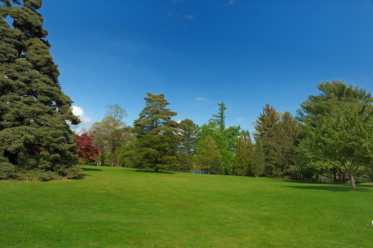 Bayard Cutting Arboretum, Great River, New York. Photograph from Wikimedia Commons.