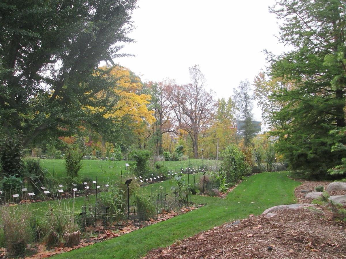 Beal Botanical Garden, East Lansing, Michigan. Photograph from Wikimedia Commons.