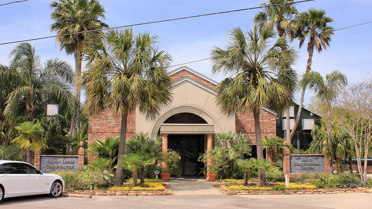 Beaumont Botanical Gardens, Beaumont, Texas. Photograph from Wikimedia Commons.