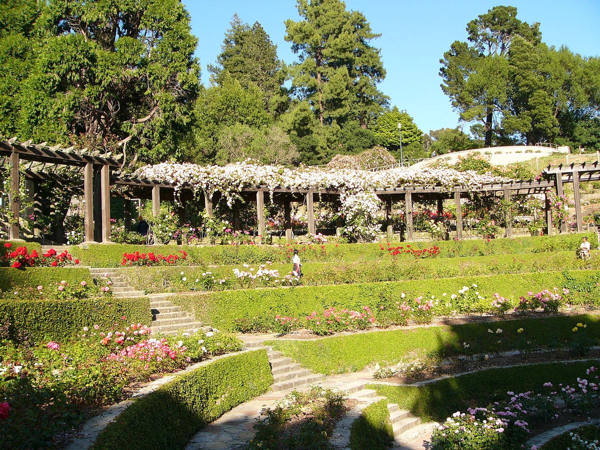 Berkeley Rose Garden Park, Berkeley, California. Photograph from Wikimedia Commons.