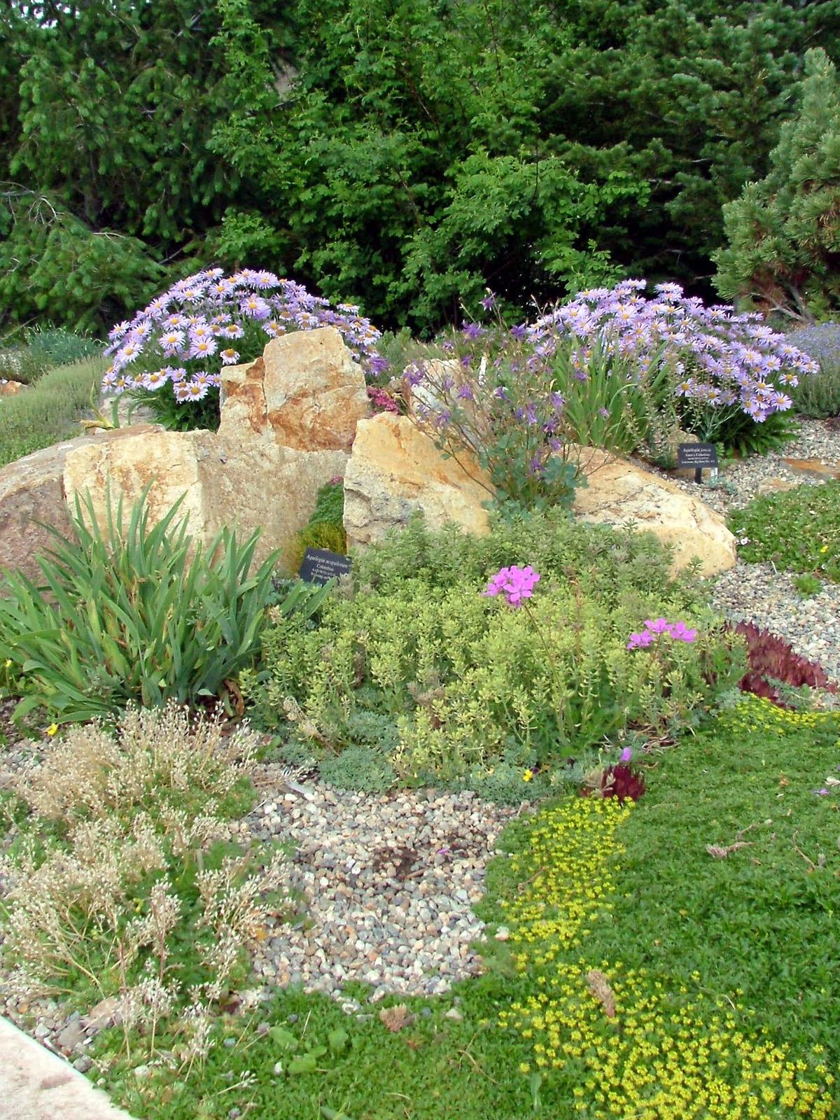 Betty Ford Alpine Gardens, Vail, Colorado. Photograph from Wikimedia Commons.