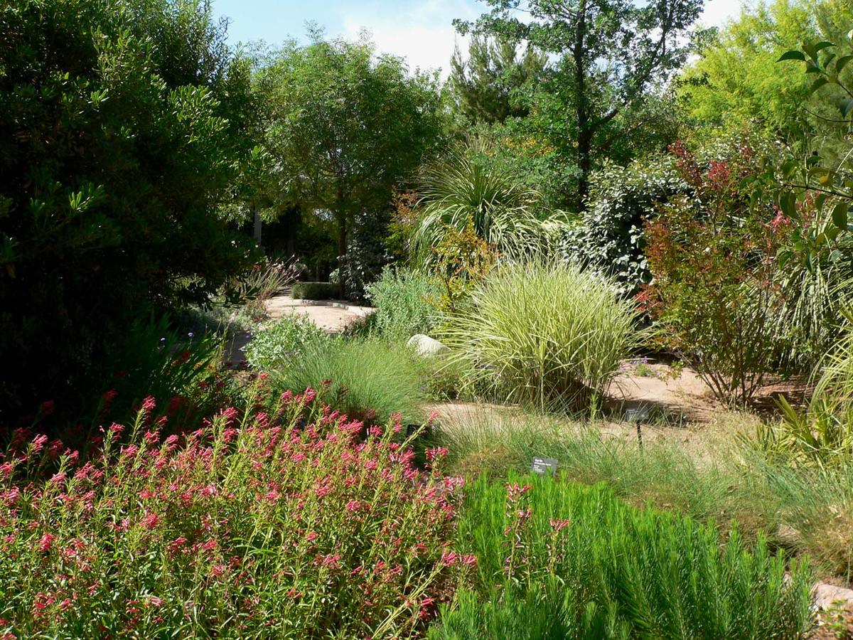 Botanical Garden at the Springs Preserve, Las Vegas, Nevada. Photograph from Wikimedia Commons.
