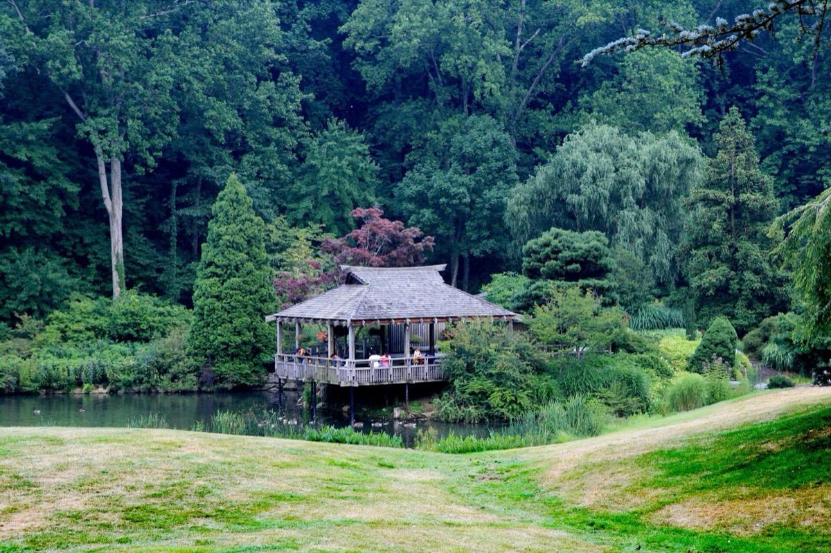 Brookside Gardens, Wheaton, Maryland. Photograph from Wikimedia Commons.
