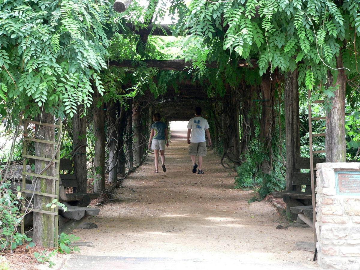 Coker Arboretum, Chapel Hill, North Carolina. Photograph from Wikimedia Commons.
