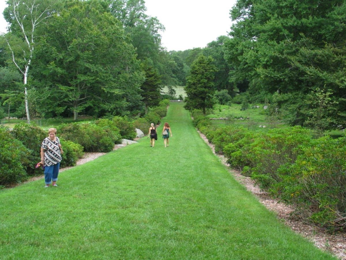 Connecticut College Arboretum, New London, Connecticut. Photograph from Wikimedia Commons.