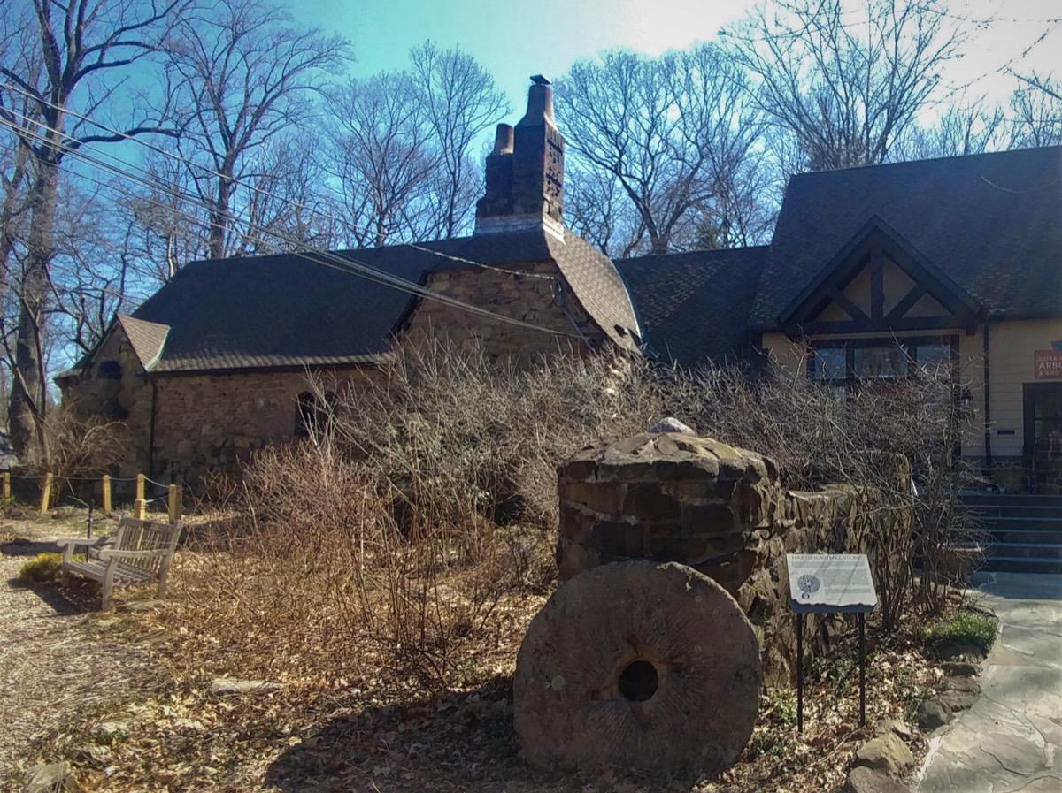Cora Hartshorn Arboretum & Bird Sanctuary, Short Hills, New Jersey. Photograph from Wikimedia Commons.