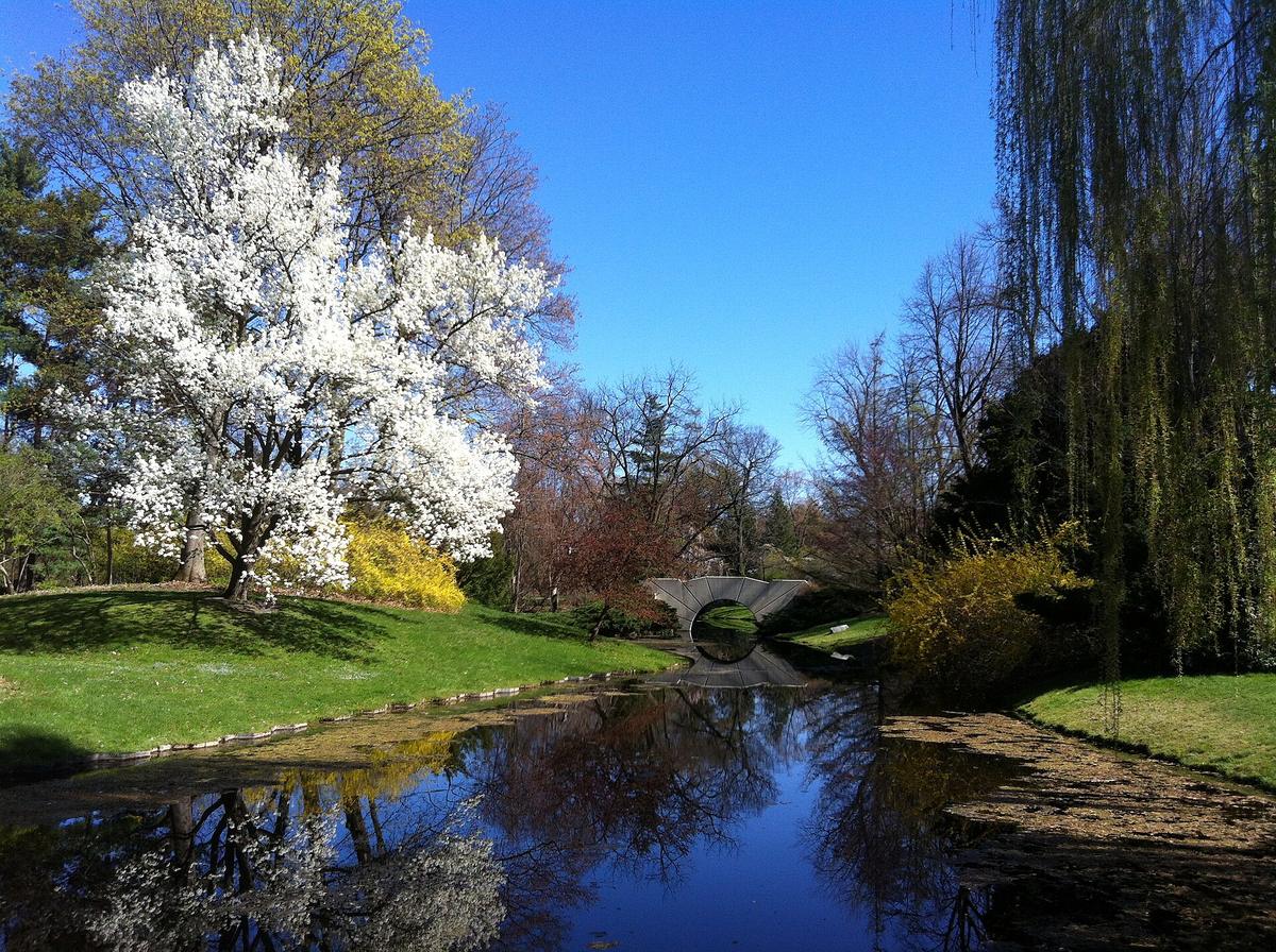 Dow Gardens, Midland, Michigan. Photograph from Wikimedia Commons.