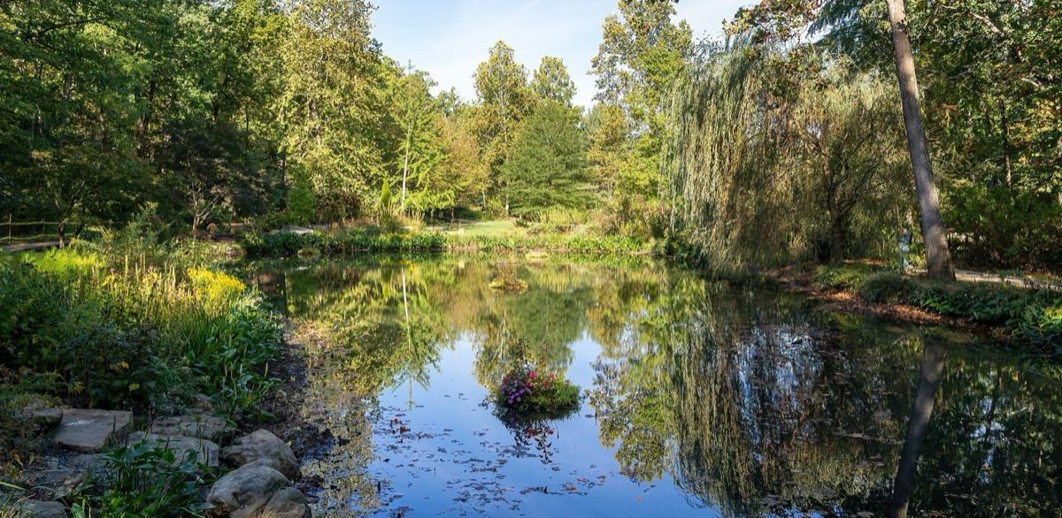 Edith J. Carrier Arboretum, Harrisonburg, Virginia. Photograph from Wikimedia Commons.