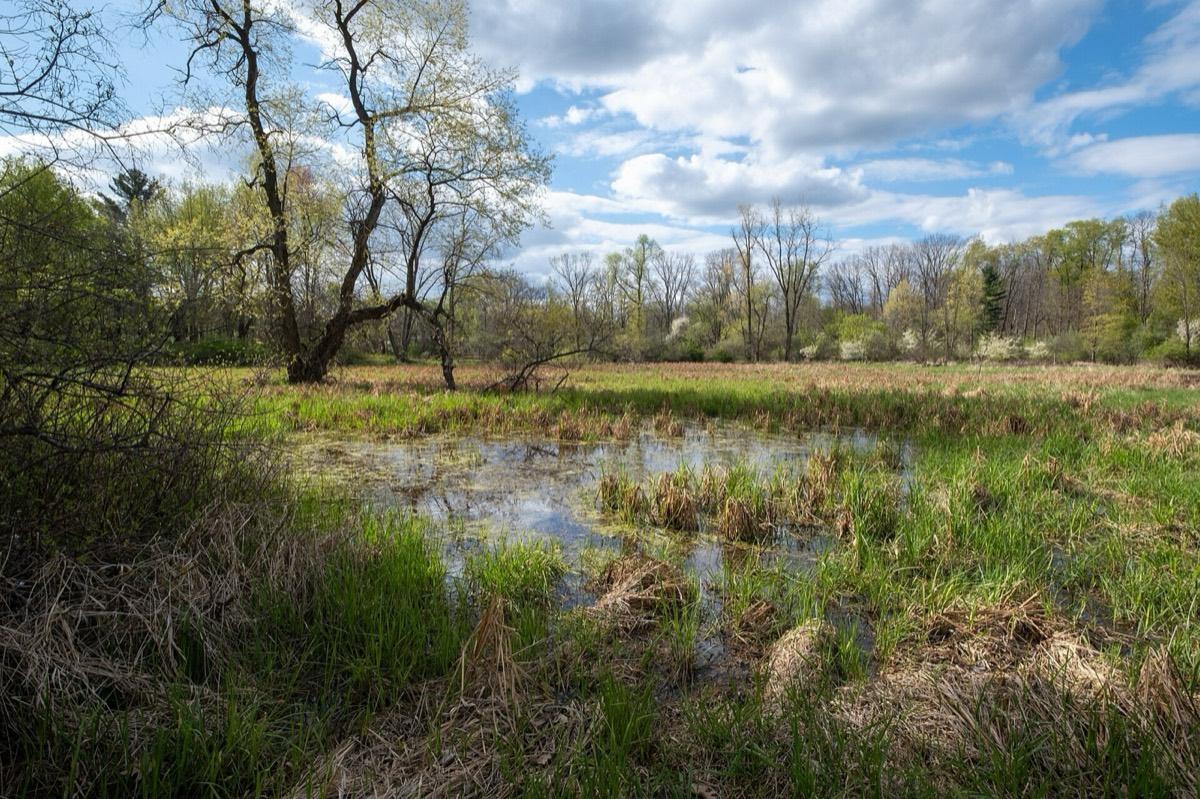 For-Mar Nature Preserve & Arboretum, Burton, Michigan. Photograph from Wikimedia Commons.