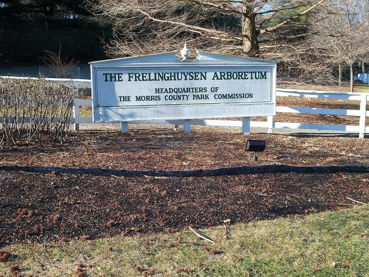 Frelinghuysen Arboretum, Morris Township, New Jersey. Photograph from Wikimedia Commons.