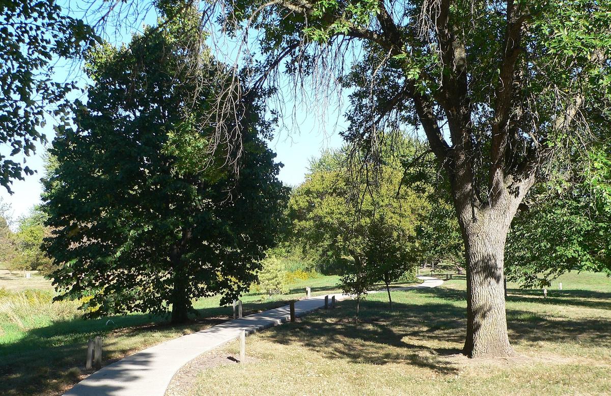 Gilman Park Arboretum, Pierce, Nebraska. Photograph from Wikimedia Commons.