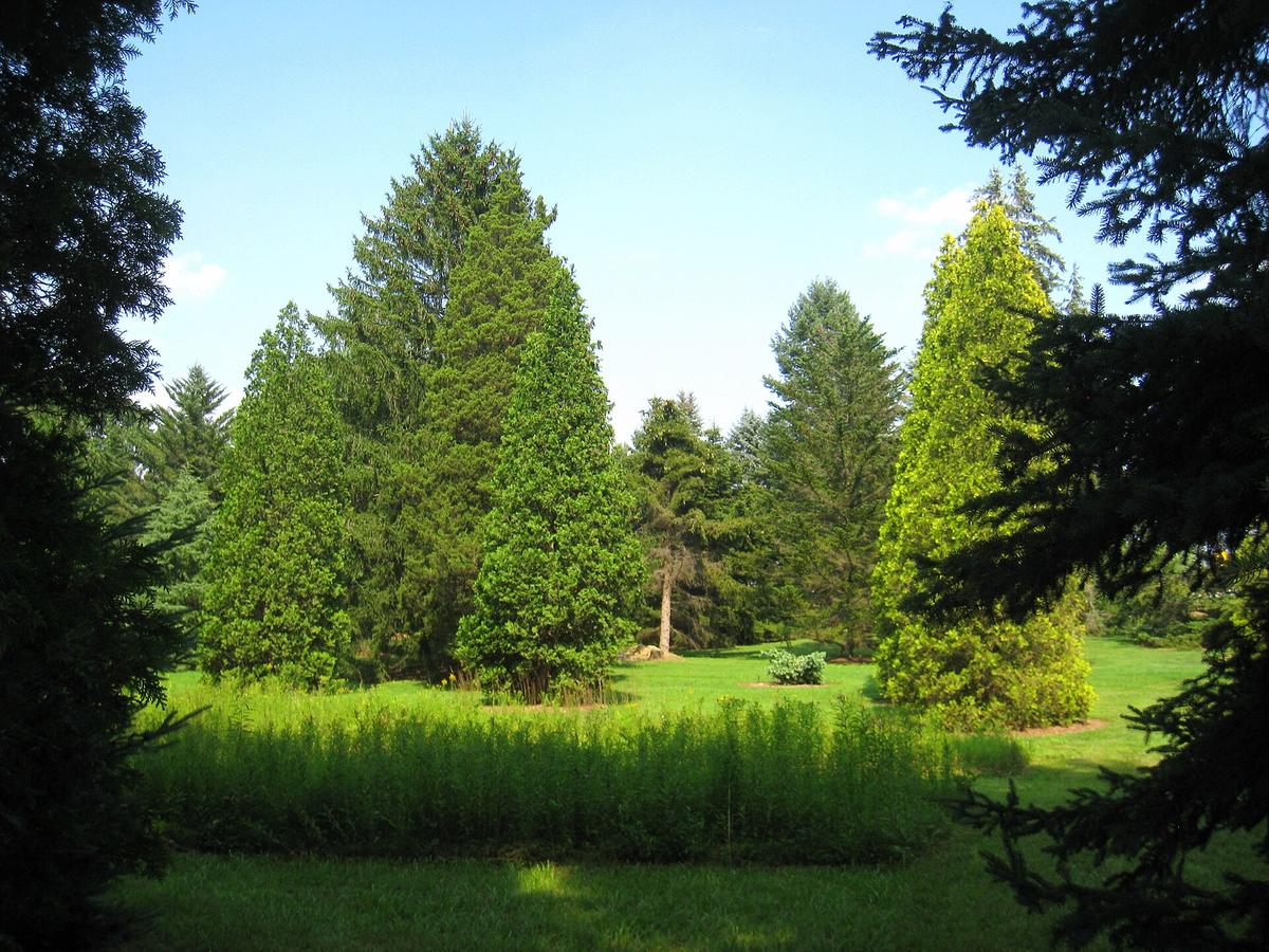 Graver Arboretum, Bath, Pennsylvania. Photograph from Wikimedia Commons.