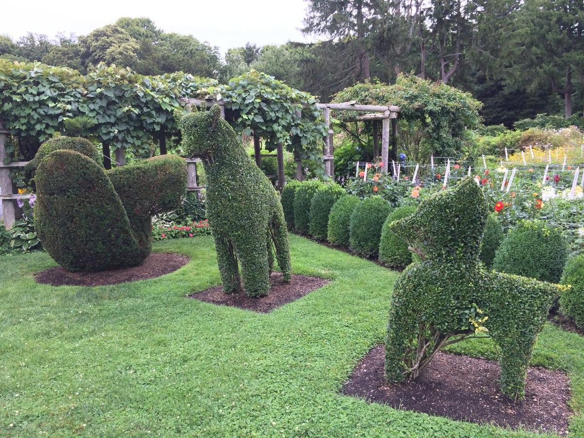 Green Animals Topiary Garden, Portsmouth, Rhode Island. Photograph from Wikimedia Commons.
