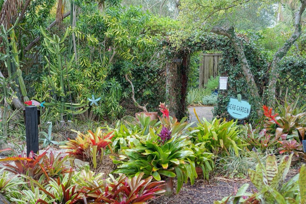 Heathcote Botanical Gardens, Fort Pierce, Florida. Photograph from Wikimedia Commons.