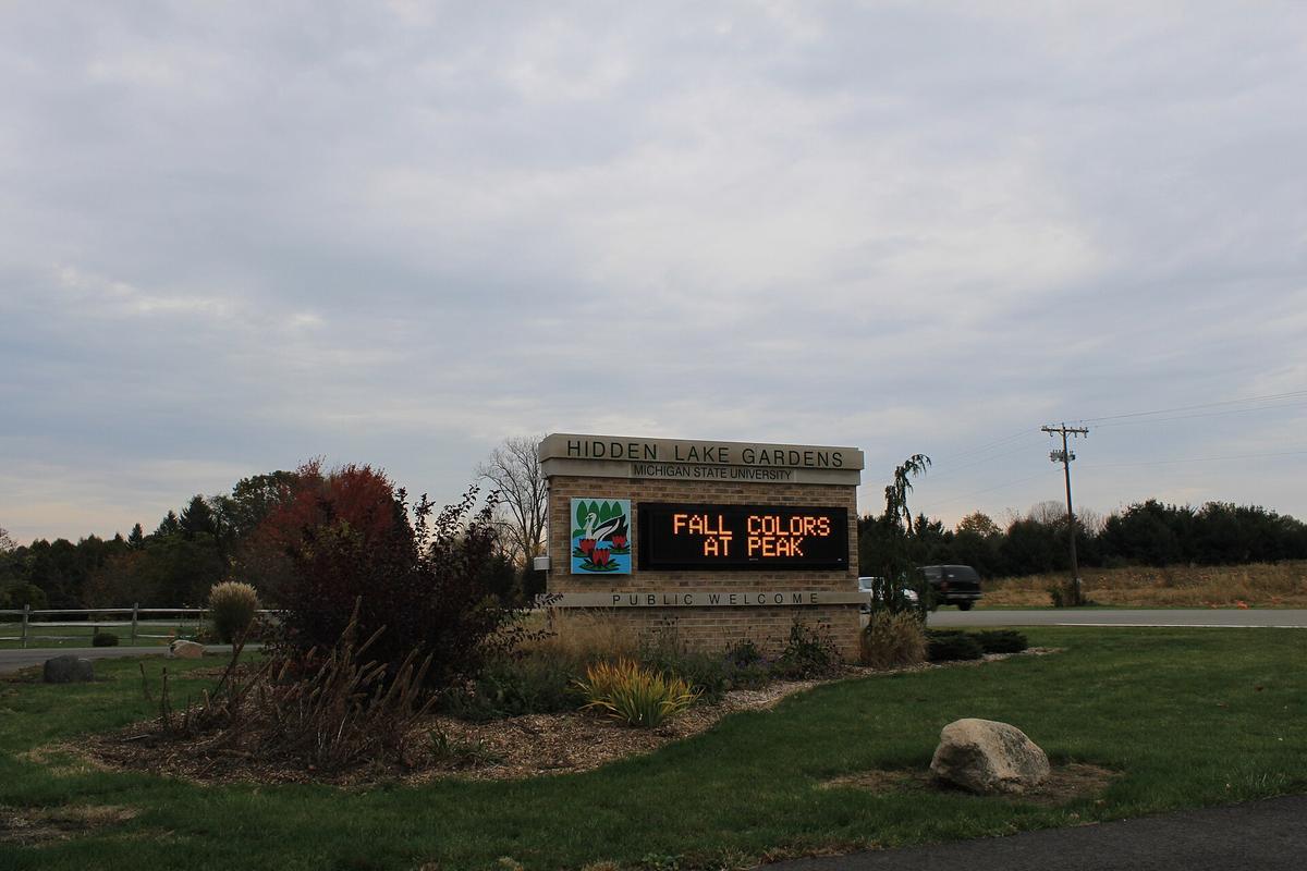 Hidden Lake Gardens, Tipton, Michigan. Photograph from Wikimedia Commons.