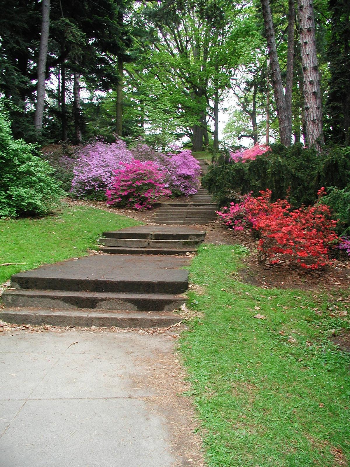 Highland Park, Rochester, New York. Photograph from Wikimedia Commons.