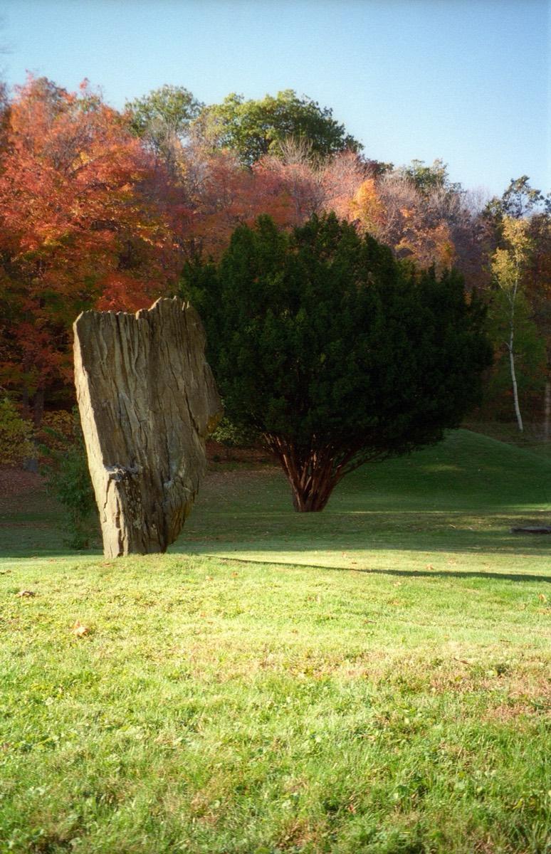 Innisfree Garden, Millbrook, New York. Photograph from Wikimedia Commons.
