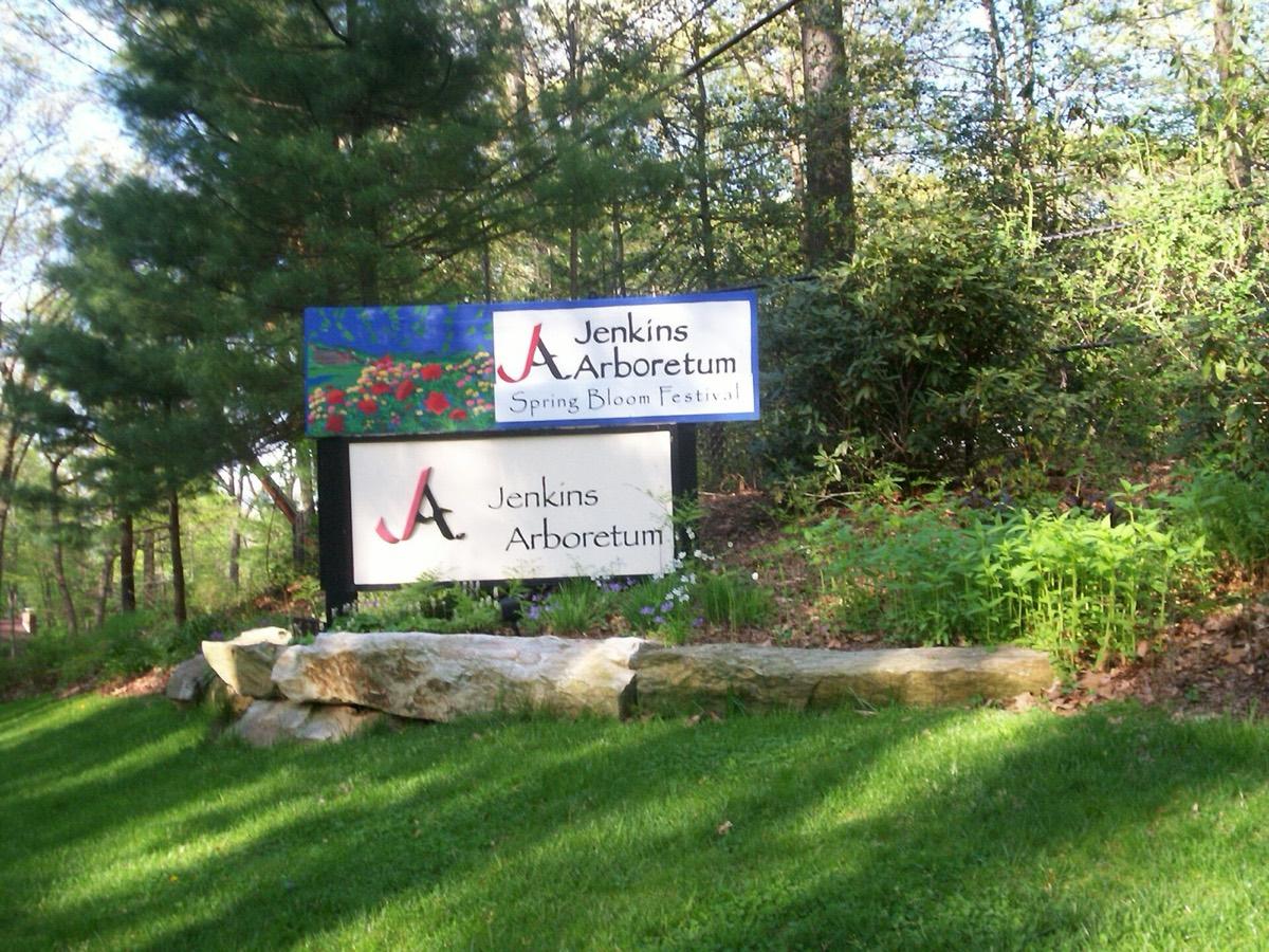 Jenkins Arboretum & Gardens, Devon, Pennsylvania. Photograph from Wikimedia Commons.
