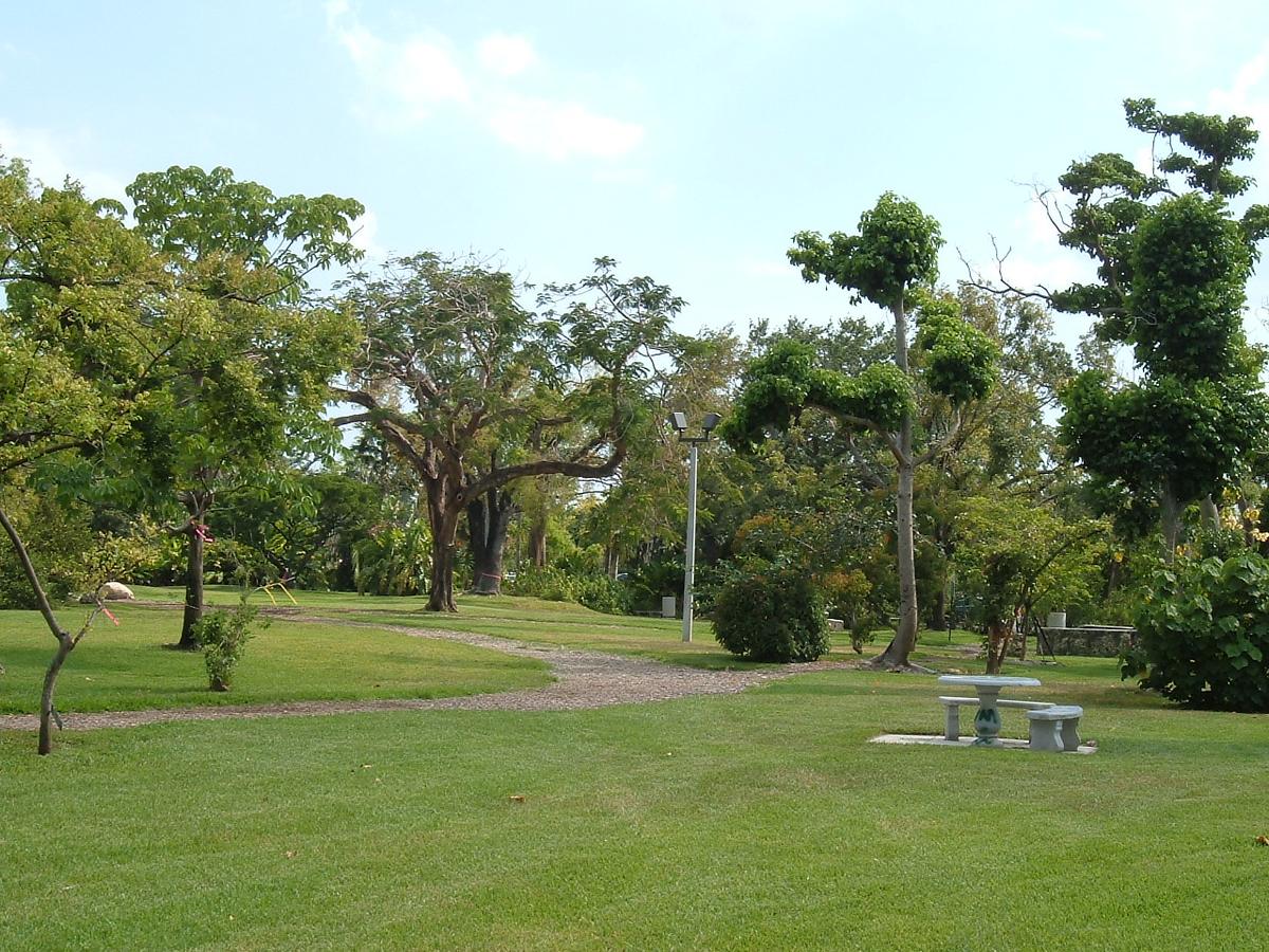 John C. Gifford Arboretum, Coral Gables, Florida. Photograph from Wikimedia Commons.