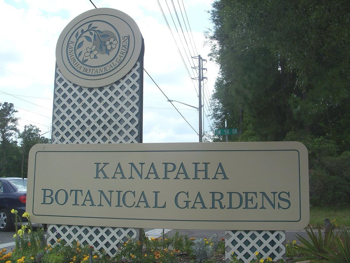 Kanapaha Botanical Gardens, Gainesville, Florida. Photograph from Wikimedia Commons.