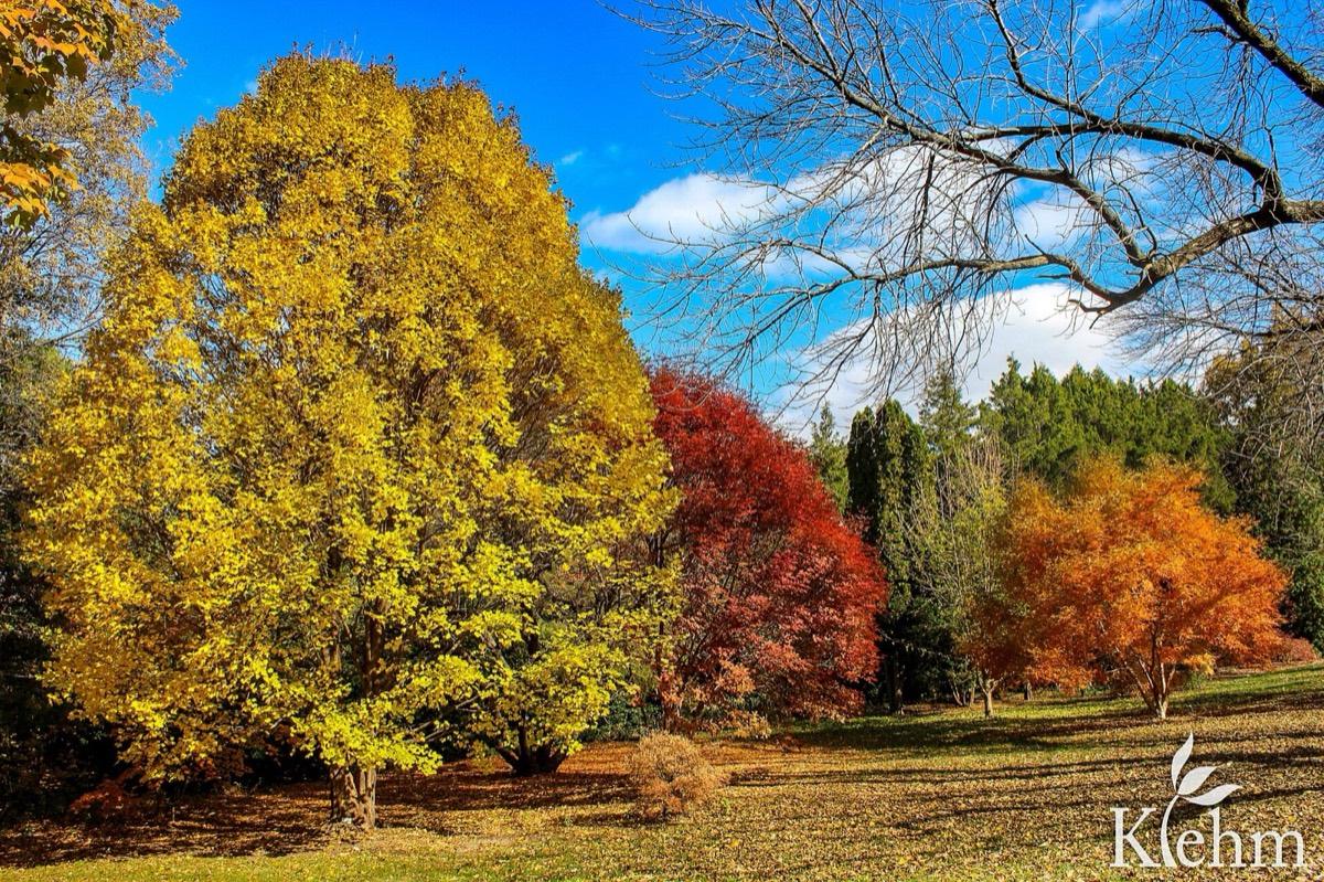 Klehm Arboretum & Botanic Garden, Rockford, Illinois. Photograph from Wikimedia Commons.