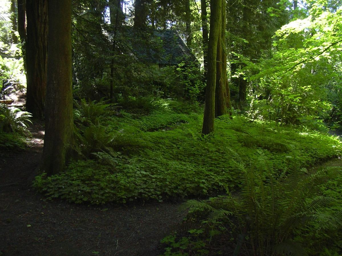 Leach Botanical Garden, Portland, Oregon. Photograph from Wikimedia Commons.
