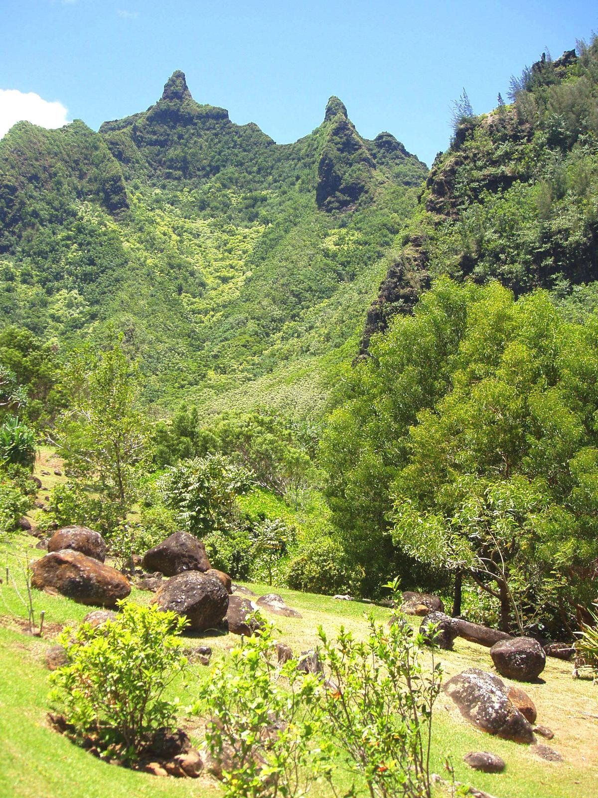 Limahuli Garden & Preserve, Hanalei, Hawaii. Photograph from Wikimedia Commons.