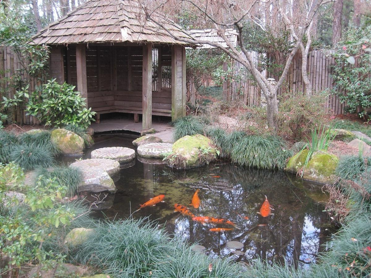 Massee Lane Gardens, Fort Valley, Georgia. Photograph from Wikimedia Commons.