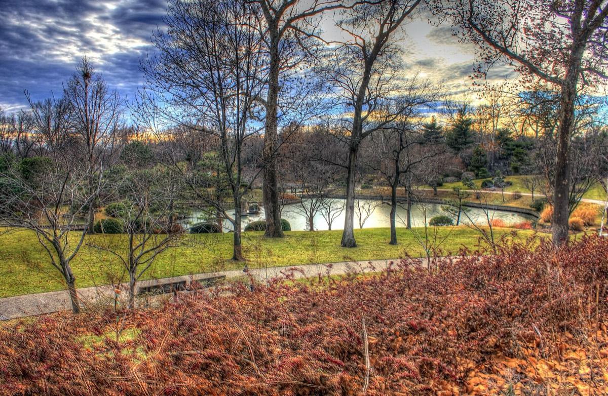 Missouri Botanical Garden, St. Louis, Missouri. Photograph from Wikimedia Commons.