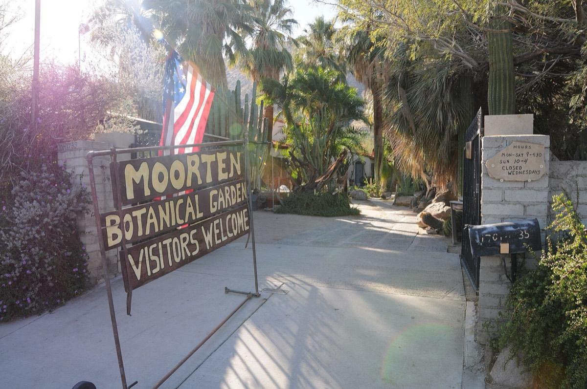 Moorten Botanical Garden and Cactarium, Palm Springs, California. Photograph from Wikimedia Commons.