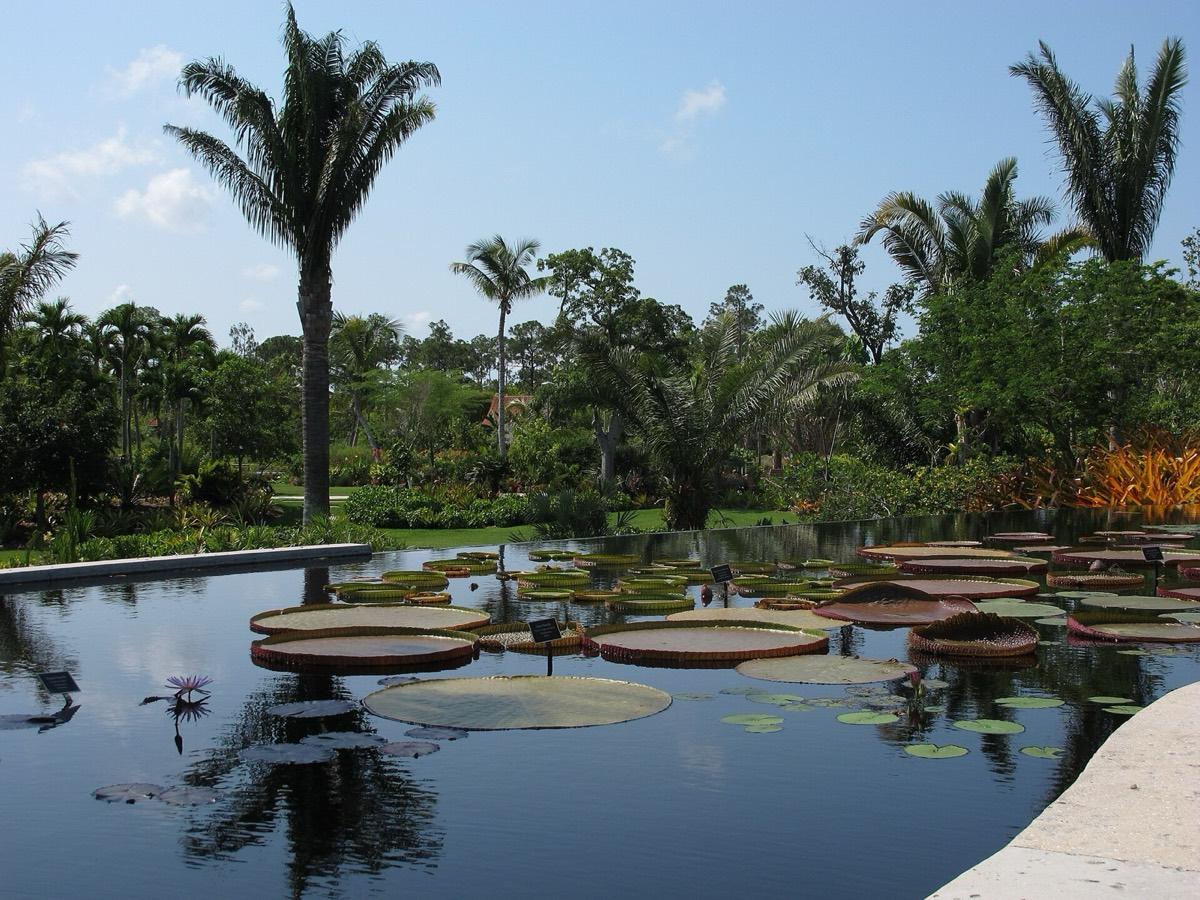Naples Botanical Garden, Naples, Florida. Photograph from Wikimedia Commons.