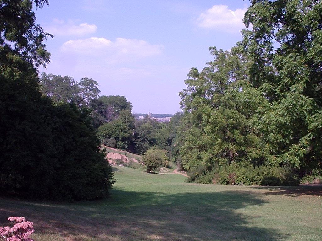 Nichols Arboretum, Ann Arbor, Michigan. Photograph from Wikimedia Commons.