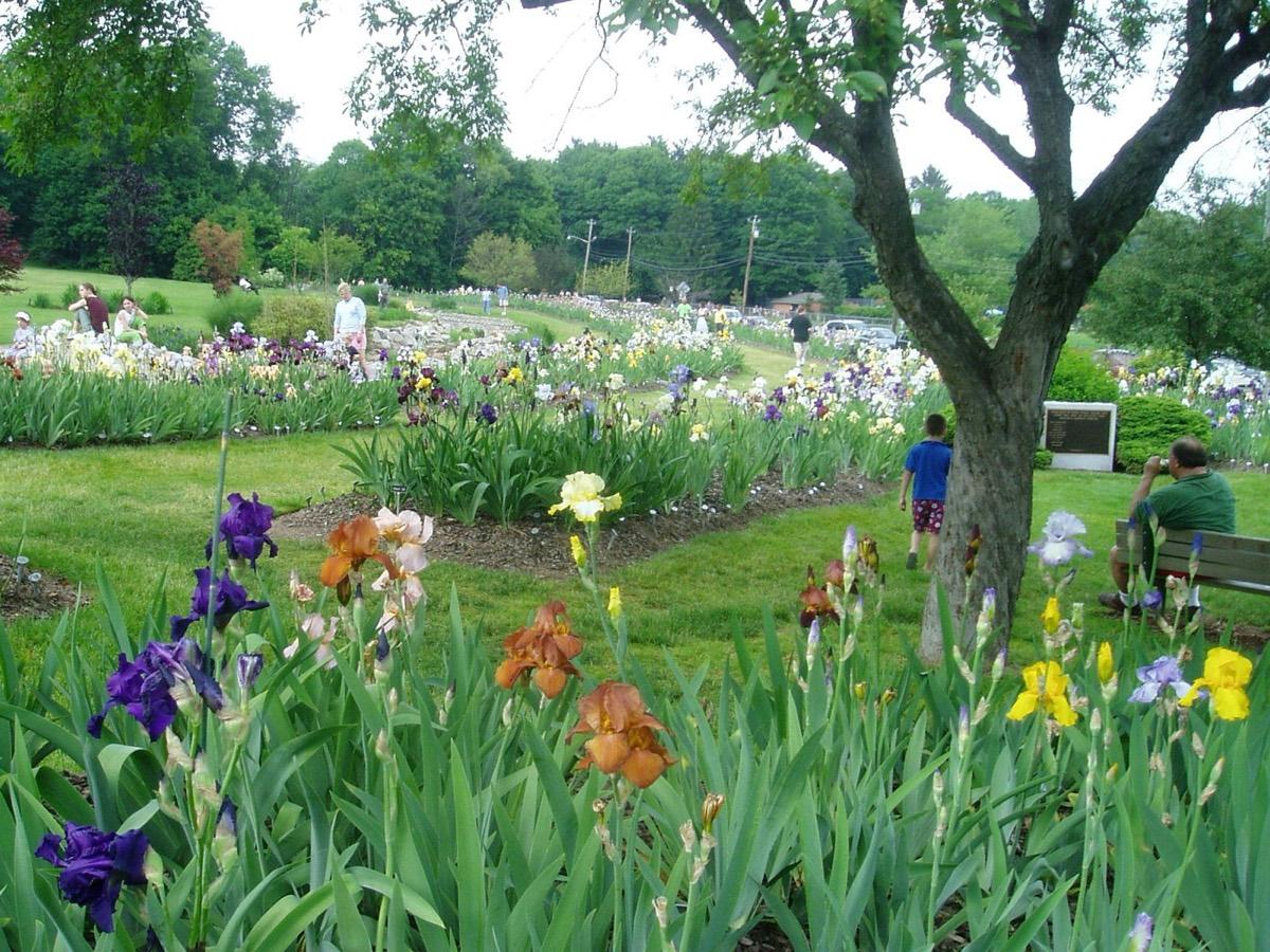 Presby Memorial Iris Gardens, Upper Montclair, New Jersey. Photograph from Wikimedia Commons.