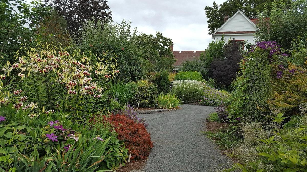 Rogerson Clematis Garden, West Linn, Oregon. Photograph from Wikimedia Commons.