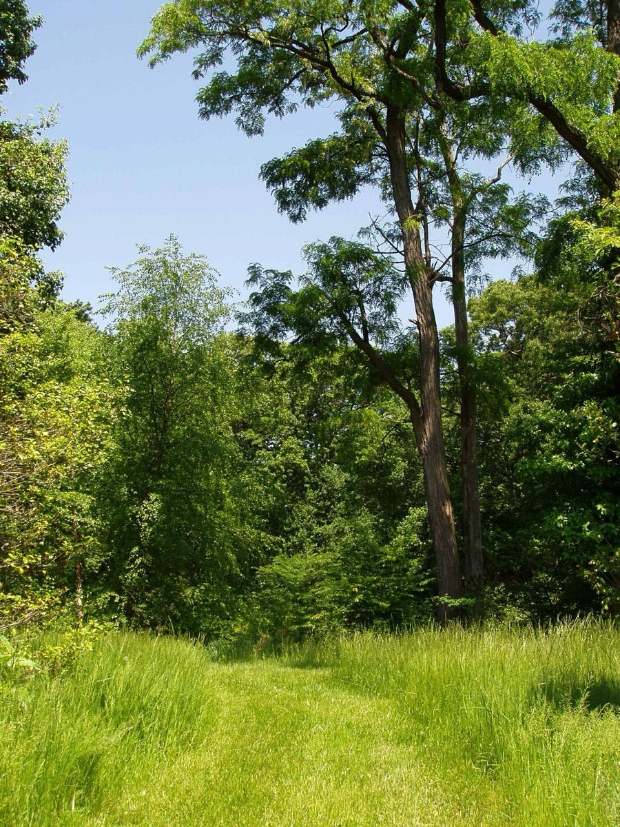 Rutgers Gardens, New Brunswick, New Jersey. Photograph from Wikimedia Commons.