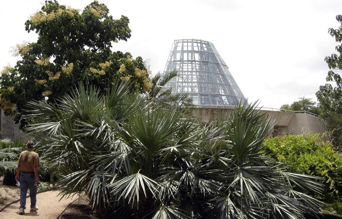 San Antonio Botanical Garden, San Antonio, Texas. Photograph from Wikimedia Commons.