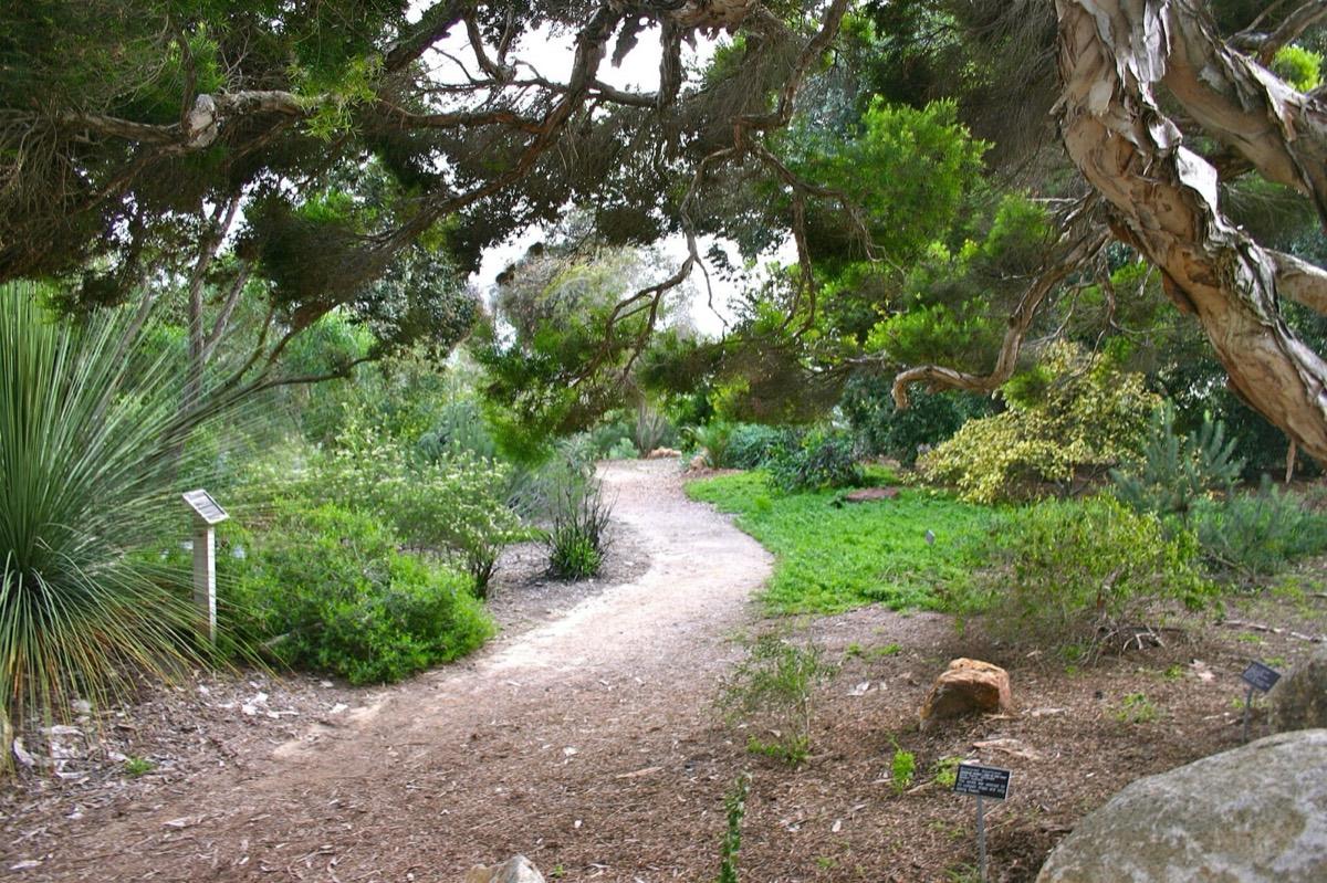 San Diego Botanic Garden, Encinitas, California. Photograph from Wikimedia Commons.