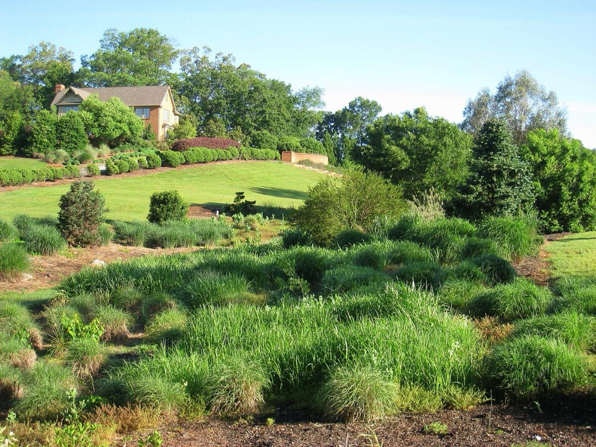 South Carolina Botanical Garden, Clemson, South Carolina. Photograph from Wikimedia Commons.