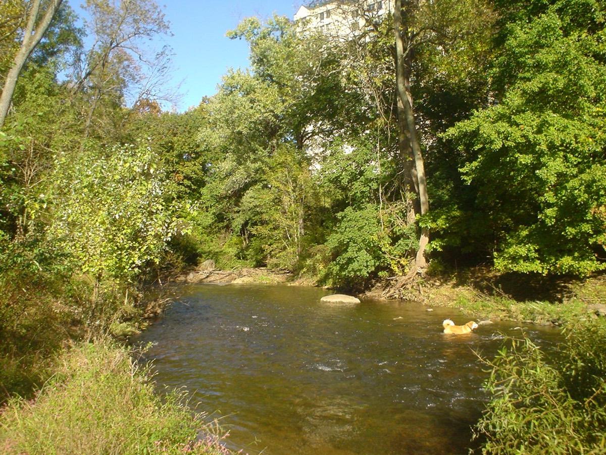 Taylor Arboretum at Widener University, Wallingford, Pennsylvania. Photograph from Wikimedia Commons.