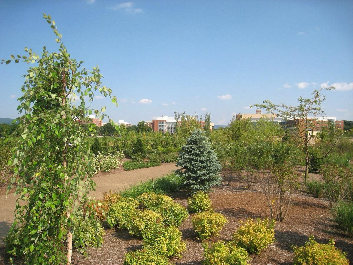 The Arboretum at Penn State, University Park, Pennsylvania. Photograph from Wikimedia Commons.