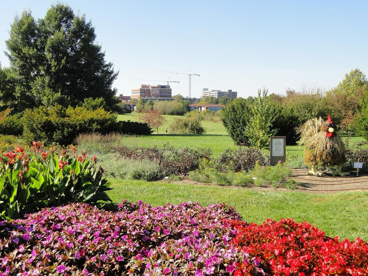 The Arboretum, State Botanical Garden of Kentucky, Lexington, Kentucky. Photograph from Wikimedia Commons.