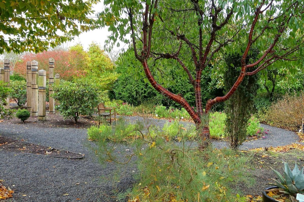 The Oregon Garden, Silverton, Oregon. Photograph from Wikimedia Commons.