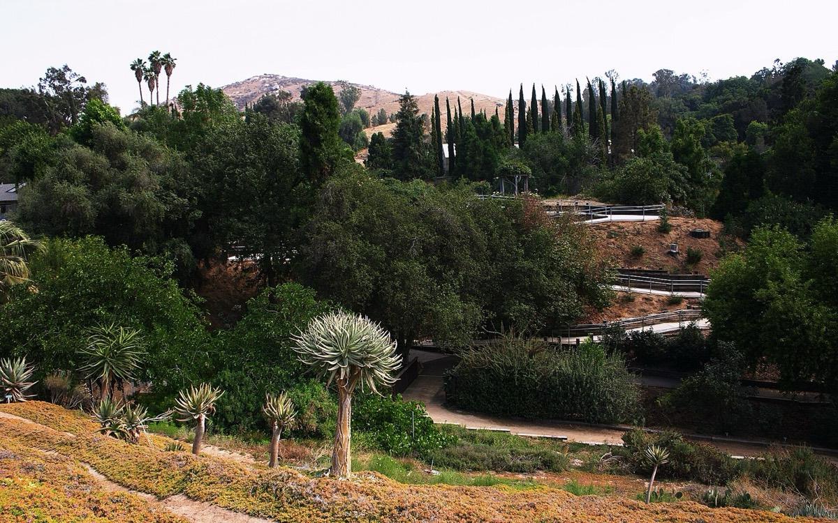 UCR Botanic Gardens, Riverside, California. Photograph from Wikimedia Commons.