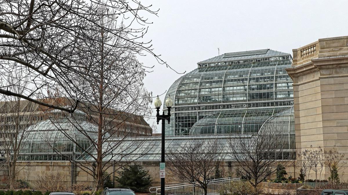 United States Botanic Garden, Washington, District of Columbia. Photograph from Wikimedia Commons.