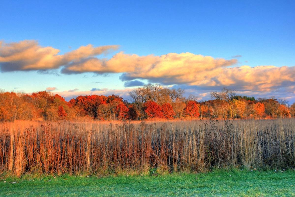 University of Wisconsin–Madison Arboretum, Madison, Wisconsin. Photograph from Wikimedia Commons.