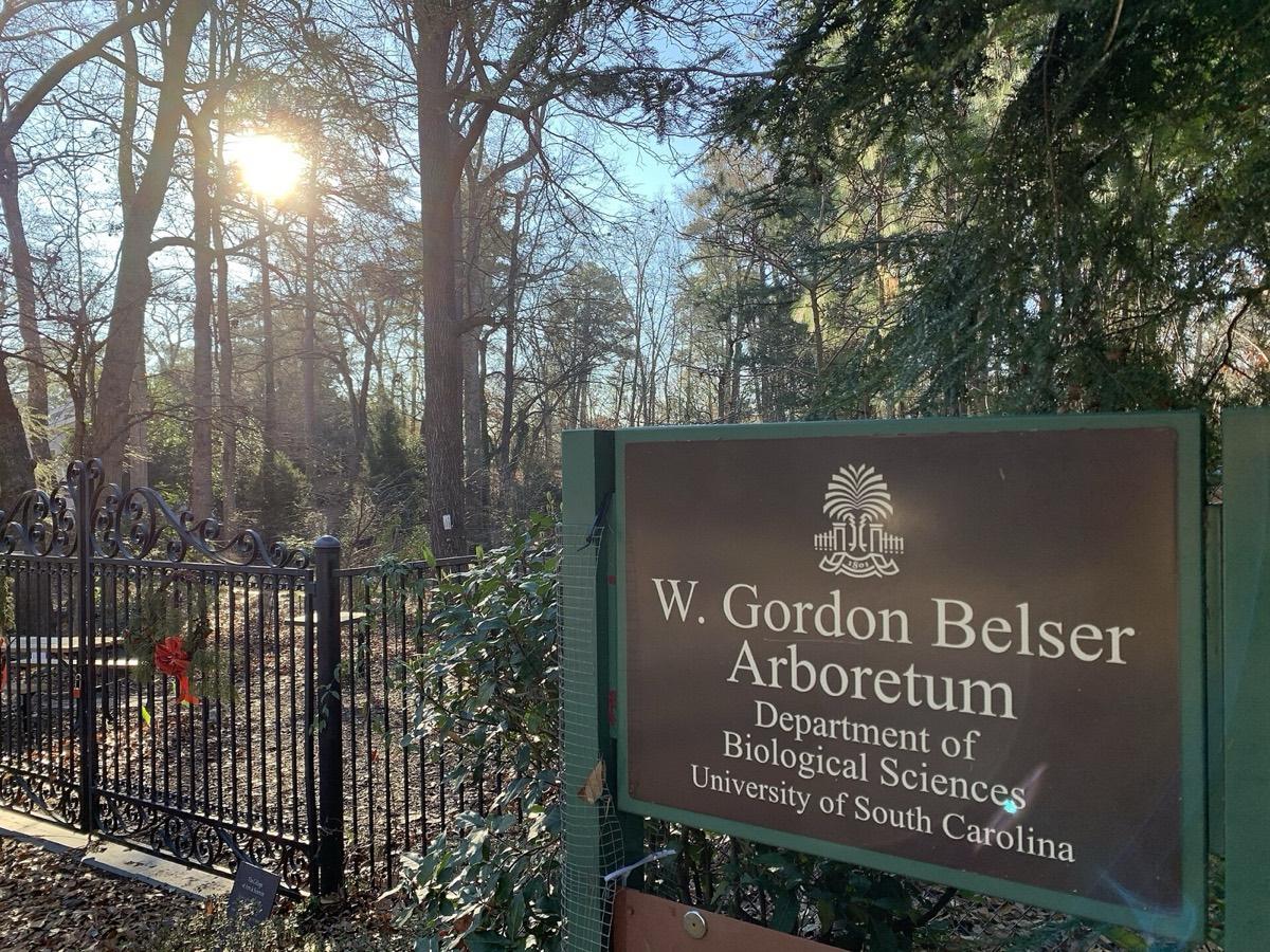 W. Gordon Belser Arboretum, Columbia, South Carolina. Photograph from Wikimedia Commons.